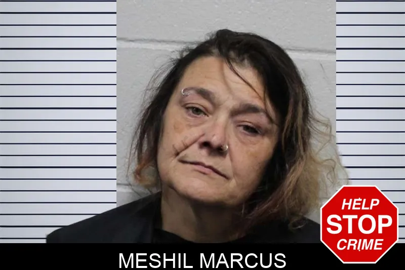 Meshil Marcus mugshot