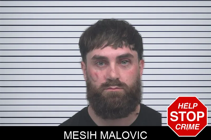 Mesih Malovic mugshot
