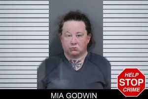 Mia Godwin mugshot
