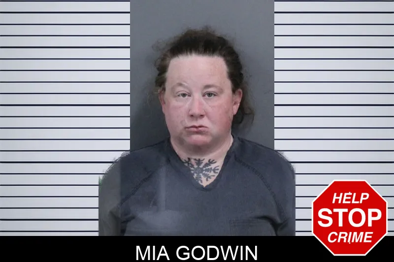 Mia Godwin mugshot