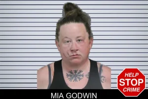 Mia Godwin mugshot