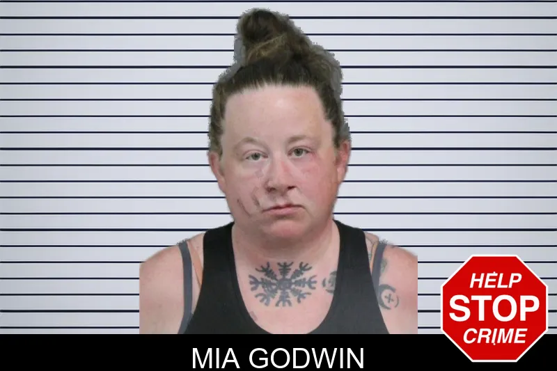 Mia Godwin mugshot