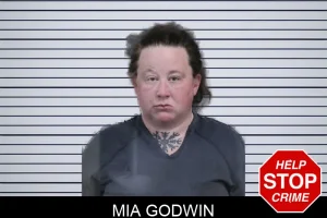 Mia Godwin mugshot