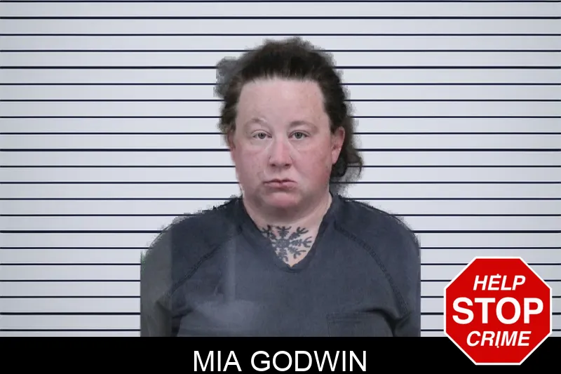 Mia Godwin mugshot
