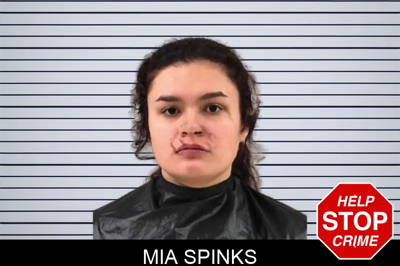 Mia Spinks mugshot – Elbert County , Georgia Mia Spinks mugshot