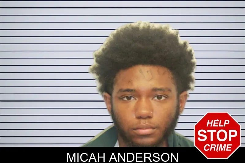 Micah Anderson mugshot