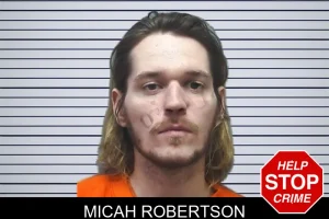 Micah Robertson mugshot