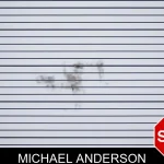 Michael Anderson mugshot