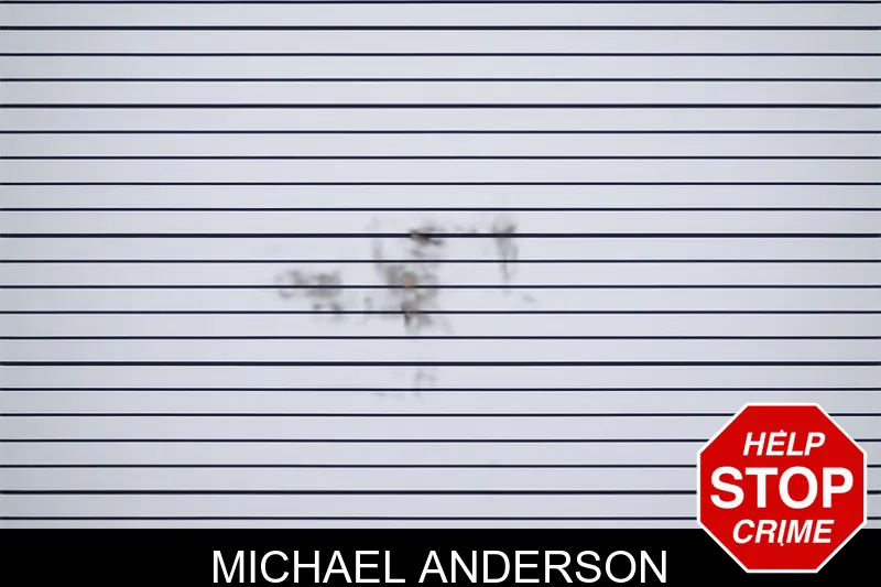 Michael Anderson mugshot – Tattnall County , Georgia Michael Anderson mugshot