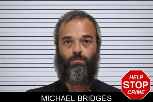 Michael Bridges mugshot