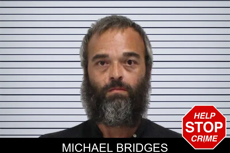 Michael Bridges mugshot