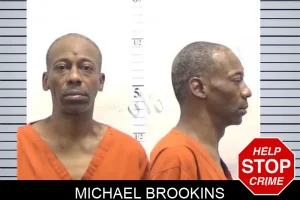 Michael Brookins mugshot