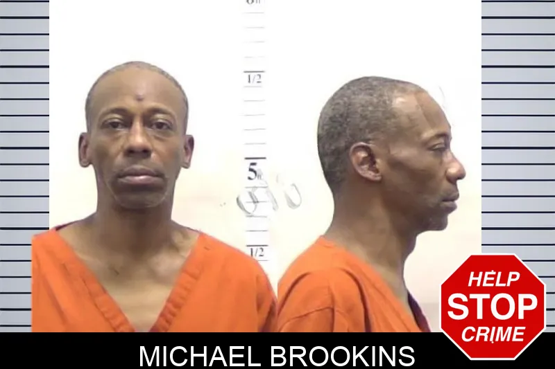 Michael Brookins mugshot