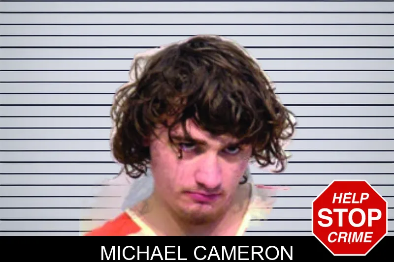 Michael Cameron mugshot