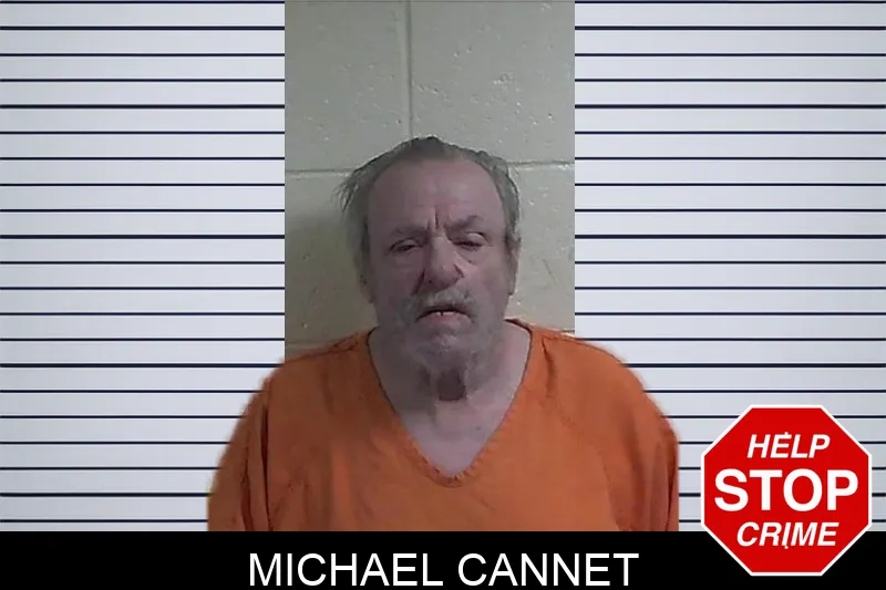 Michael Cannet mugshot – Fannin County , Georgia Michael Cannet mugshot