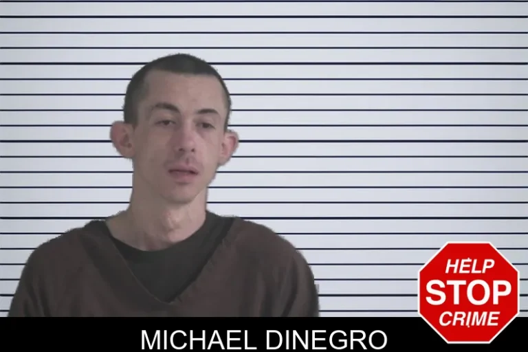 Michael Dinegro mugshot – Brantley County , Georgia Michael Dinegro