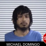 Michael Domingo mugshot