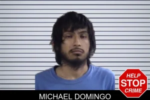 Michael Domingo mugshot