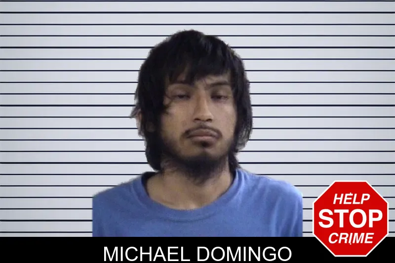 Michael Domingo mugshot