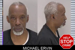 Michael Ervin mugshot