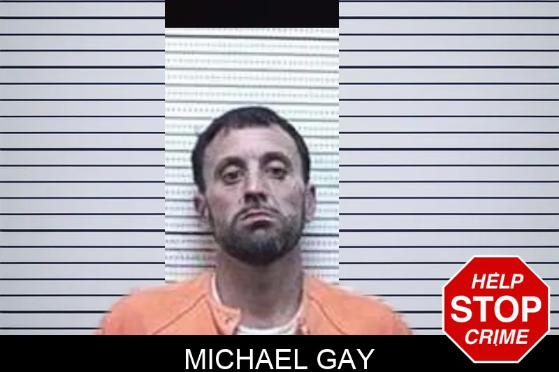 Michael Gay mugshot – Tattnall County , Georgia Michael Gay mugshot