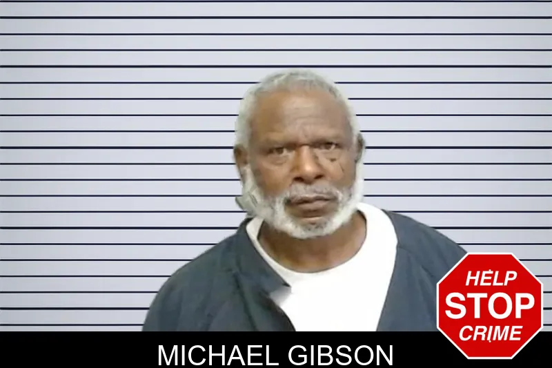 Michael Gibson mugshot