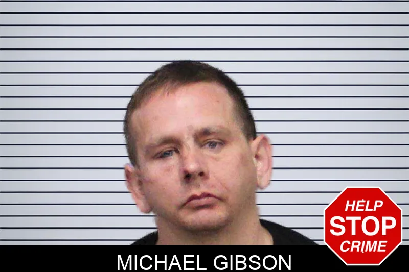 Michael Gibson mugshot