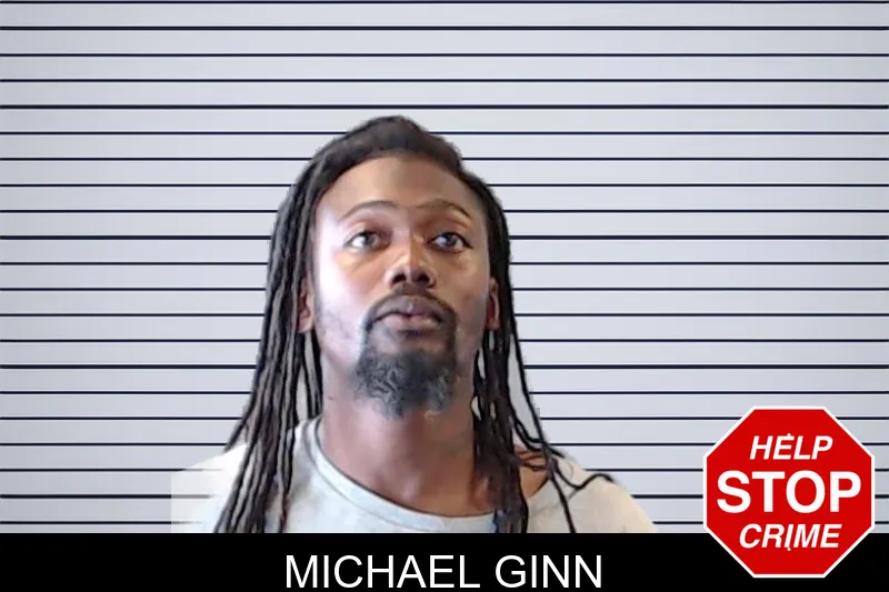 Michael Ginn mugshot