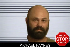 Michael Haynes mugshot