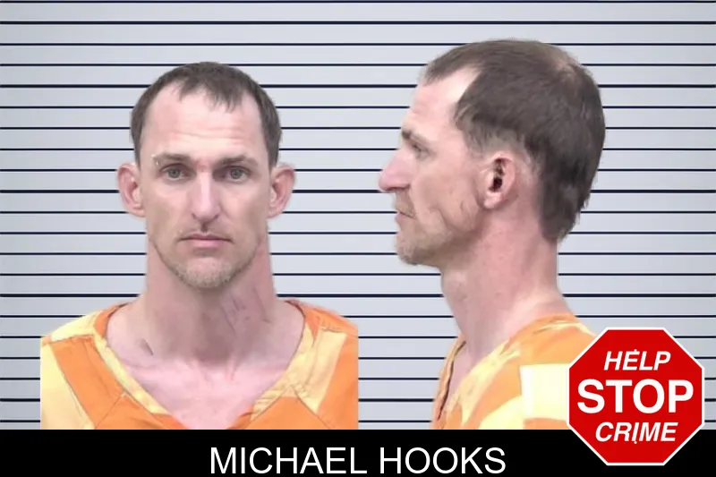 Michael Hooks mugshot