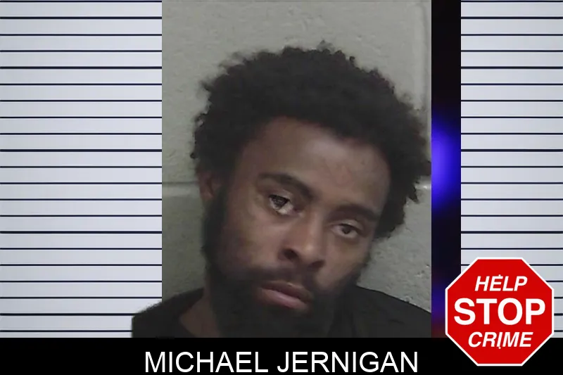 Michael Jernigan mugshot – Wayne County , Georgia Michael Jernigan mugshot