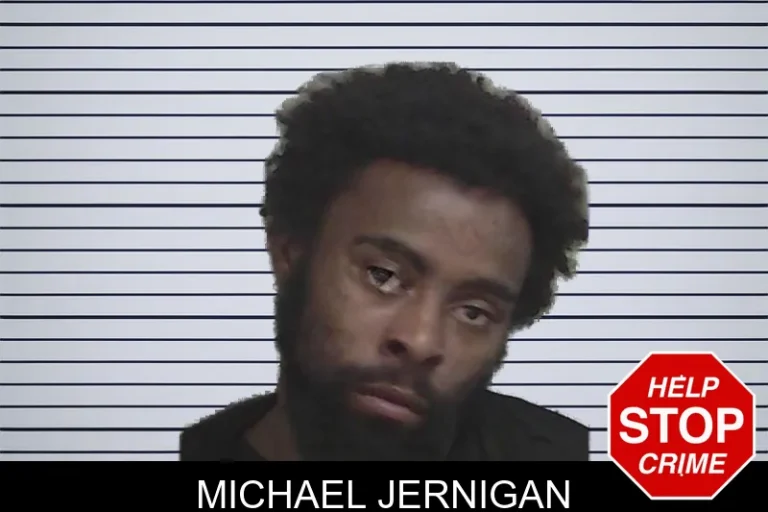 Michael Jernigan mugshot – Wayne County , Georgia Michael Jernigan