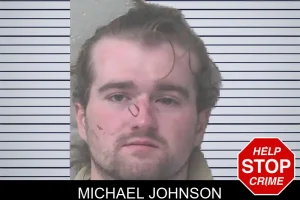 Michael Johnson mugshot