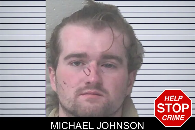 Michael Johnson mugshot