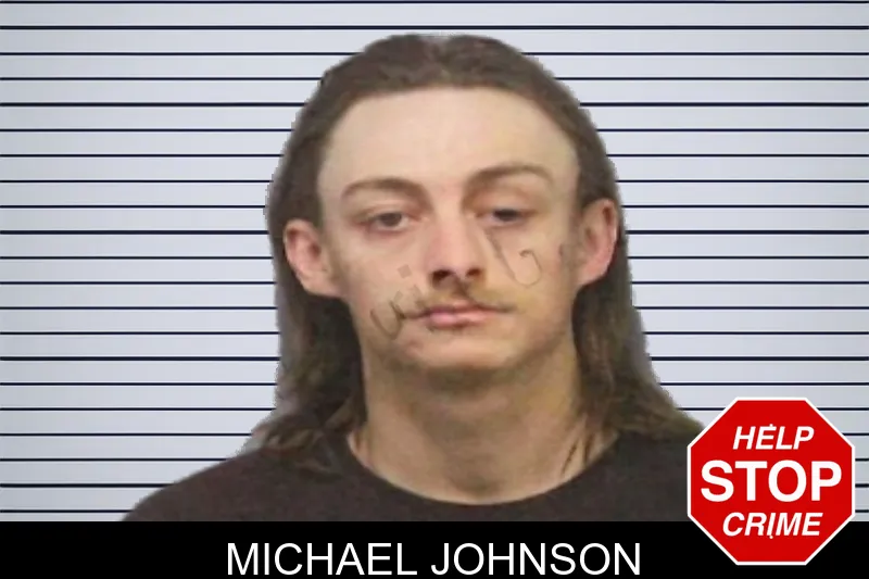 Michael Johnson mugshot