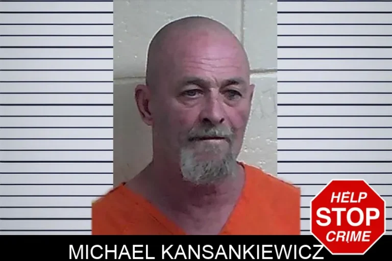 Michael Kansankiewicz mugshot – Fannin County , Georgia Michael Kansankiewicz