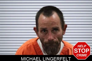 Michael Lingerfelt mugshot