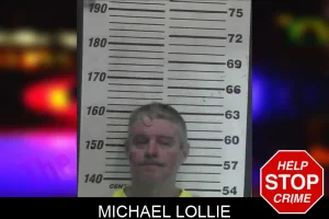 Michael Lollie mugshot