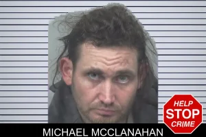 Michael McClanahan mugshot