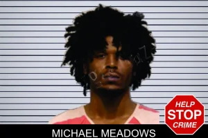 Michael Meadows mugshot