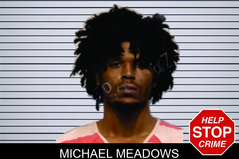 Michael Meadows mugshot