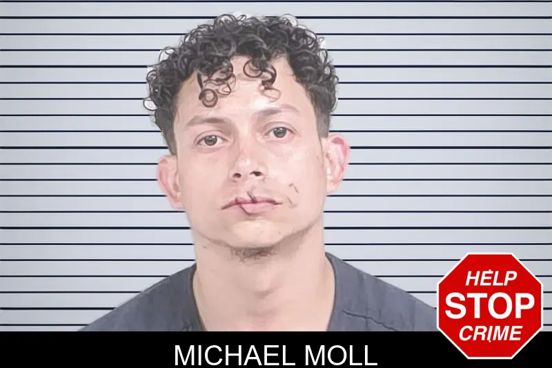 Michael Moll mugshot