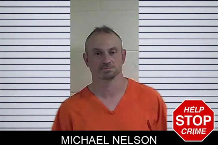 Michael Nelson mugshot – Fannin County , Georgia Michael Nelson