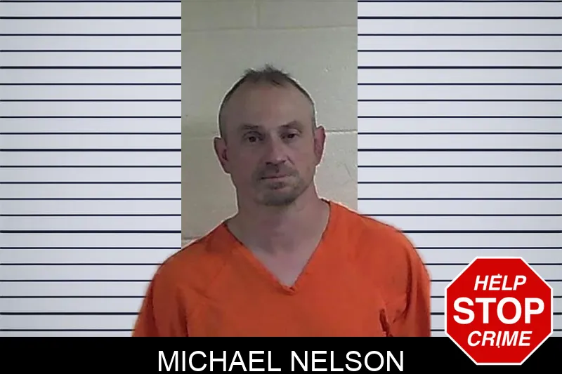 Michael Nelson mugshot – Fannin County , Georgia Michael Nelson mugshot