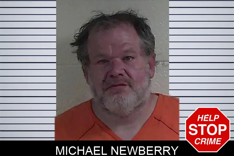 Michael Newberry mugshot – Fannin County , Georgia Michael Newberry mugshot