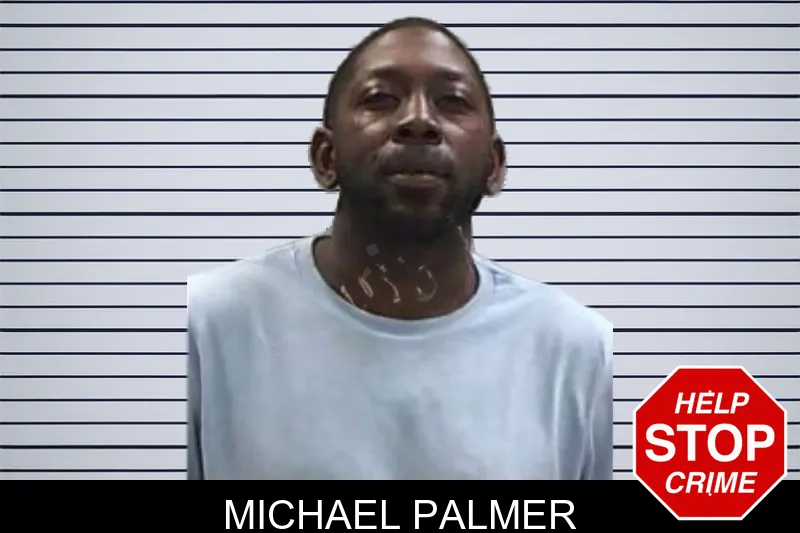 Michael Palmer mugshot
