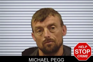 Michael Pegg mugshot