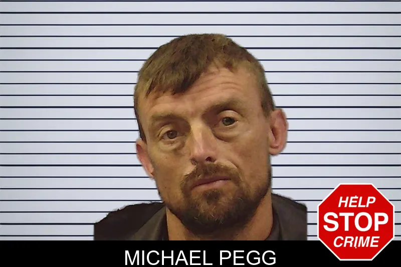 Michael Pegg mugshot
