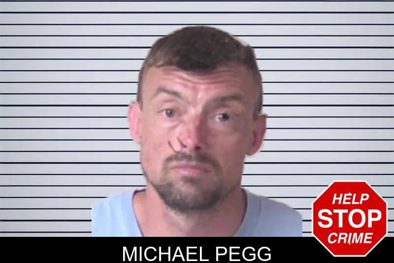 Michael Pegg mugshot