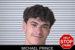 Michael Prince mugshot